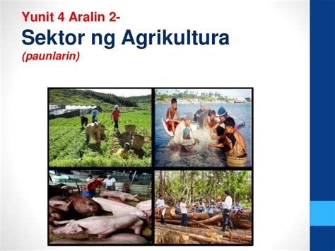 advocacy campaign sektor ng agrikultura|Iba't ibang sektor ng agrikultura .